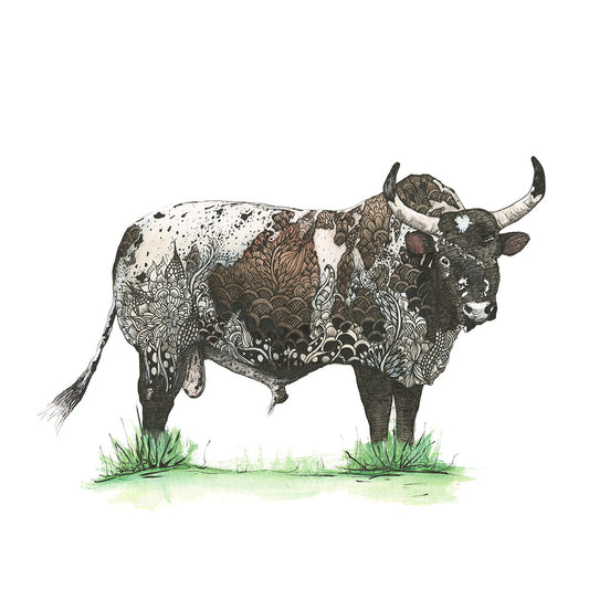 Nguni II