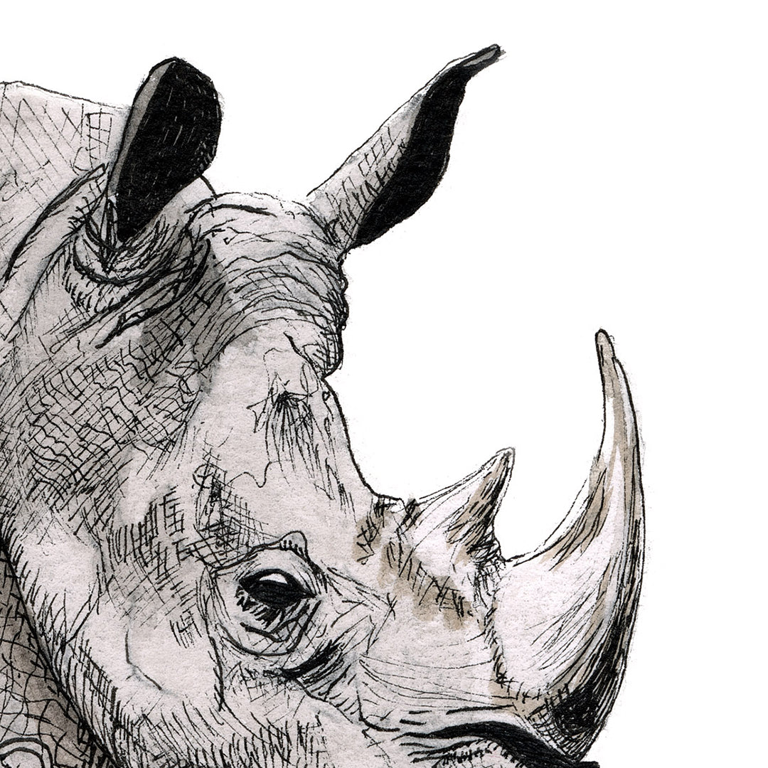 Rhino