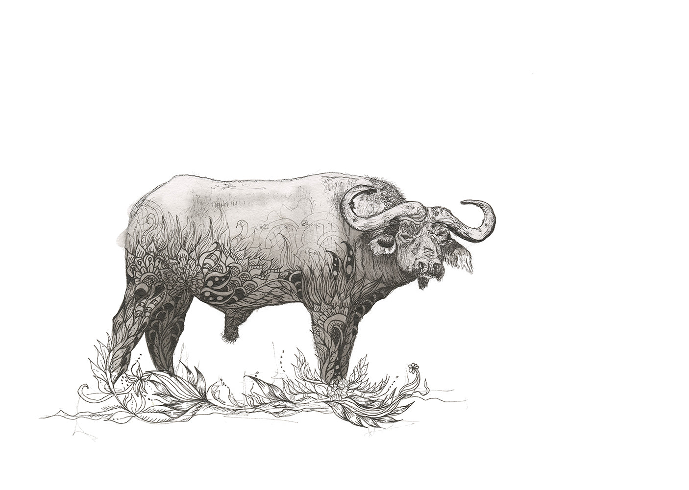 Buffalo