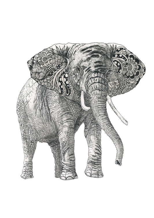 Elephant