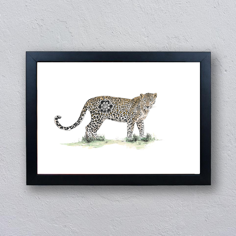 Cheetah