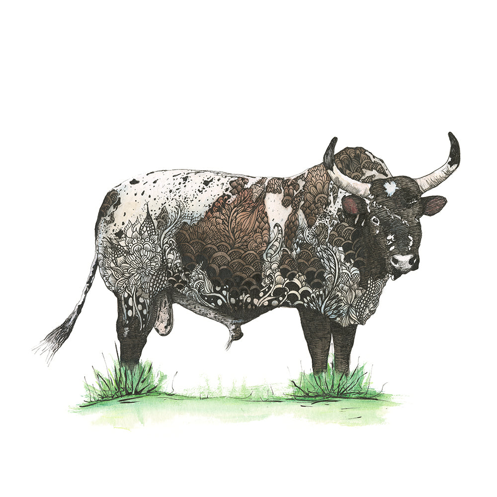 Nguni II