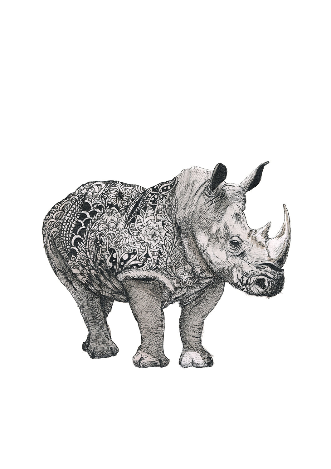 Rhino